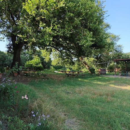 Agriturismo Il Casalino Pari Eksteriør bilde