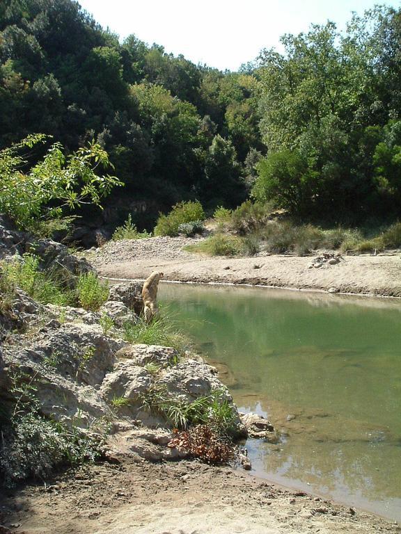 Agriturismo Il Casalino Pari Eksteriør bilde