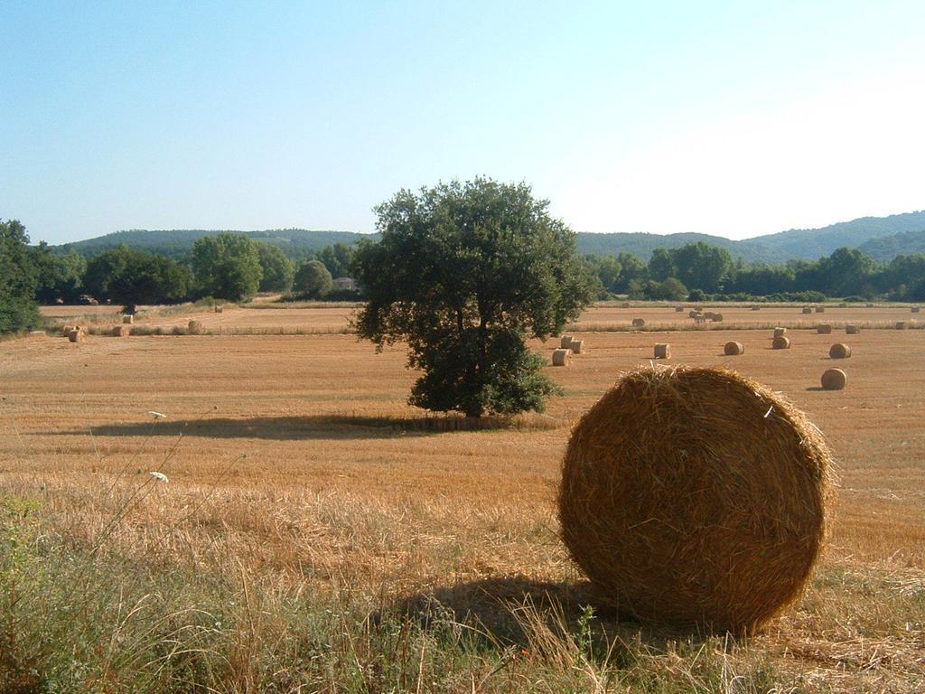 Agriturismo Il Casalino Pari Eksteriør bilde