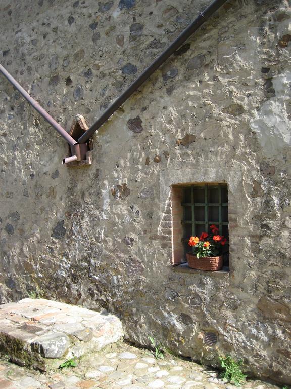 Agriturismo Il Casalino Pari Eksteriør bilde