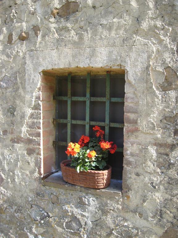 Agriturismo Il Casalino Pari Eksteriør bilde