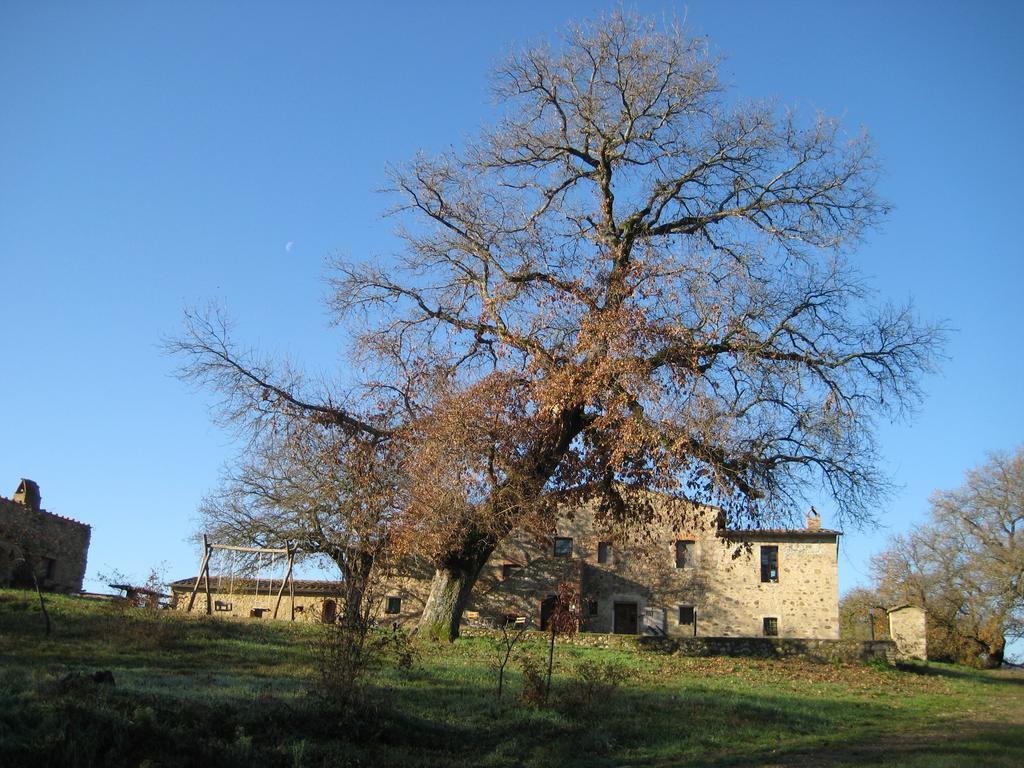 Agriturismo Il Casalino Pari Eksteriør bilde