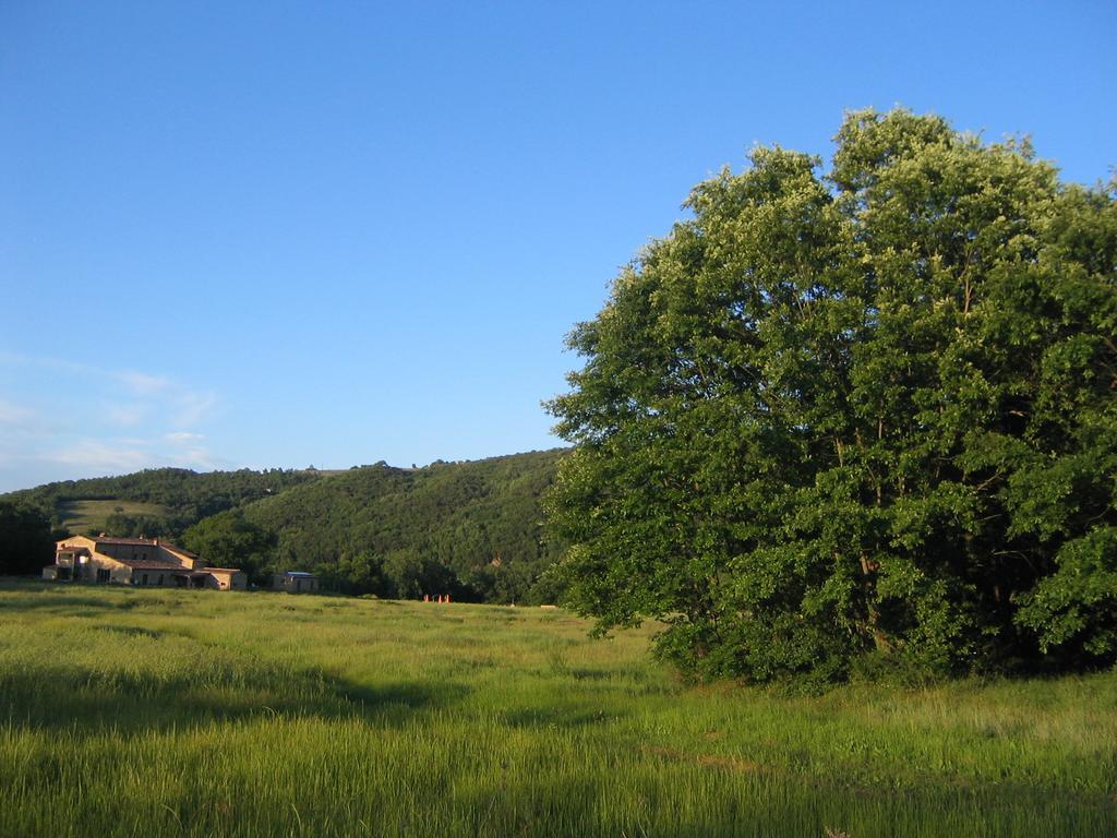 Agriturismo Il Casalino Pari Eksteriør bilde